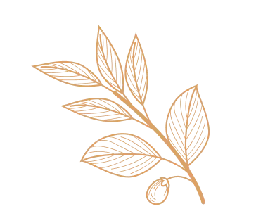 Decorative botanical leaf element